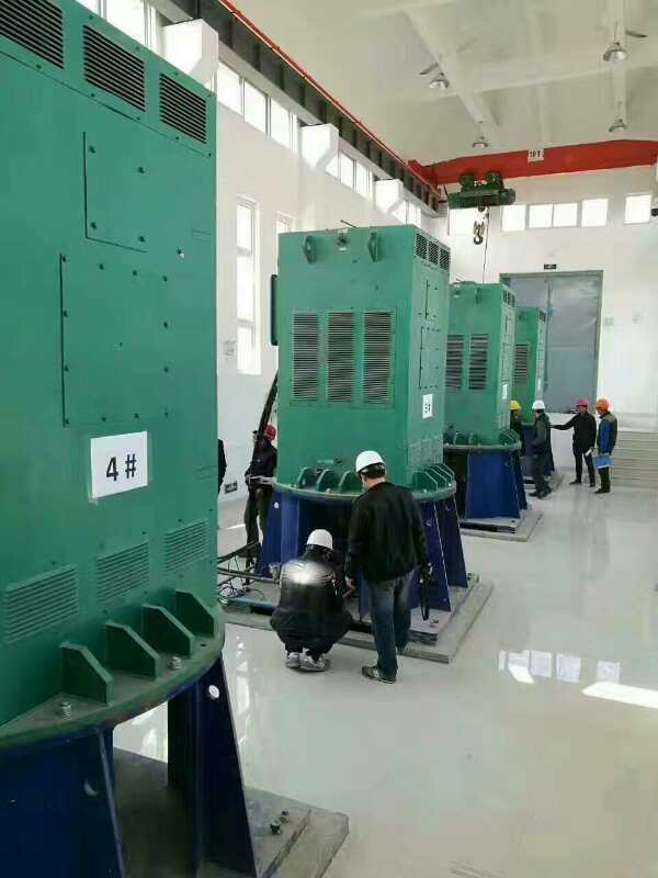 JR绕线电机某污水处理厂使用我厂的立式高压电机安装现场